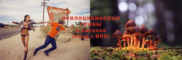 spice Балабаново