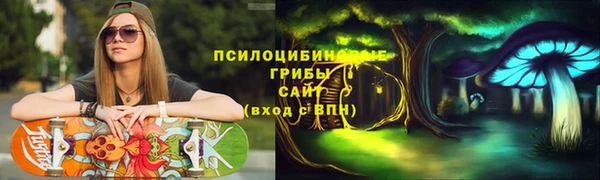 spice Балабаново